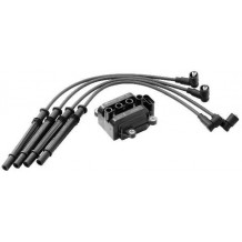 ΠΟΛΛΑΠΛΑΣΙΑΣΤΗΣ RENAULT