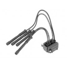 ΠΟΛΛΑΠΛΑΣΙΑΣΤΗΣ RENAULT